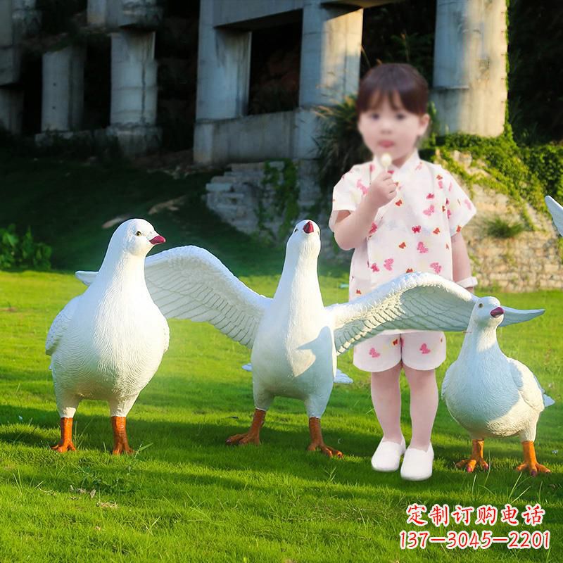 南阳北京街头雕塑少女与和平鸽