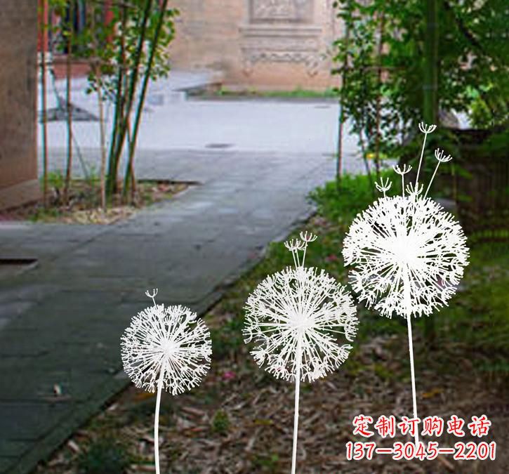 南阳不锈钢蒲公英点亮城市之美