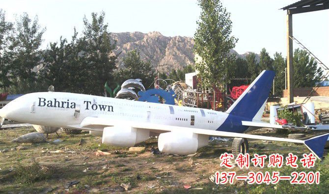 南阳静静躺在大地上的不锈钢飞机雕塑