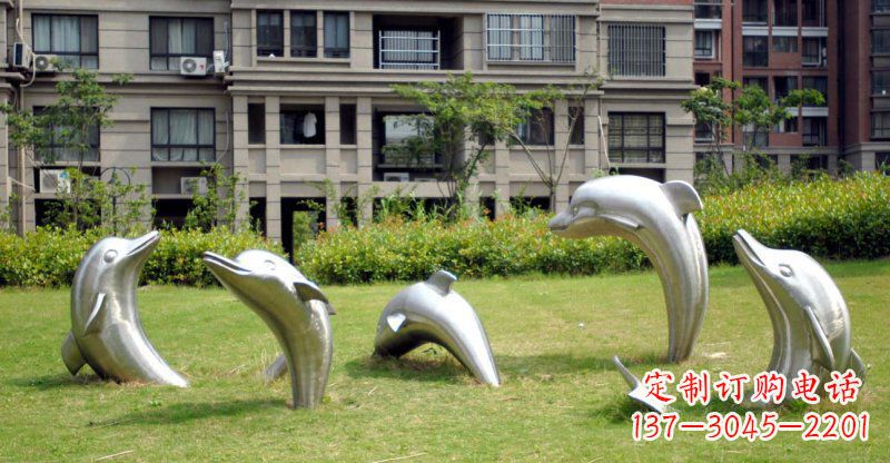 南阳海豚的浪漫