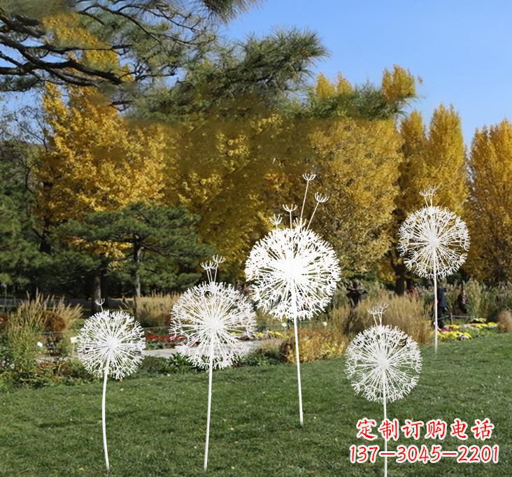 南阳不锈钢蒲公英景观雕塑艺术与美的完美结合