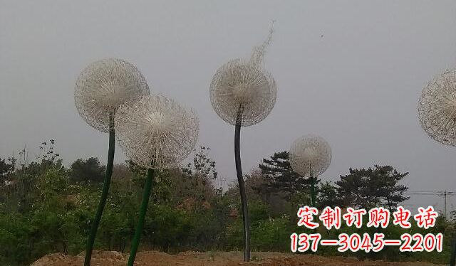南阳蒲公英的绚丽多彩