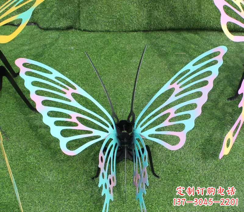 南阳彩色不锈钢镂空蝴蝶雕塑精美又充满生机
