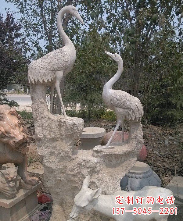 南阳静谧优雅的丹顶鹤雕塑