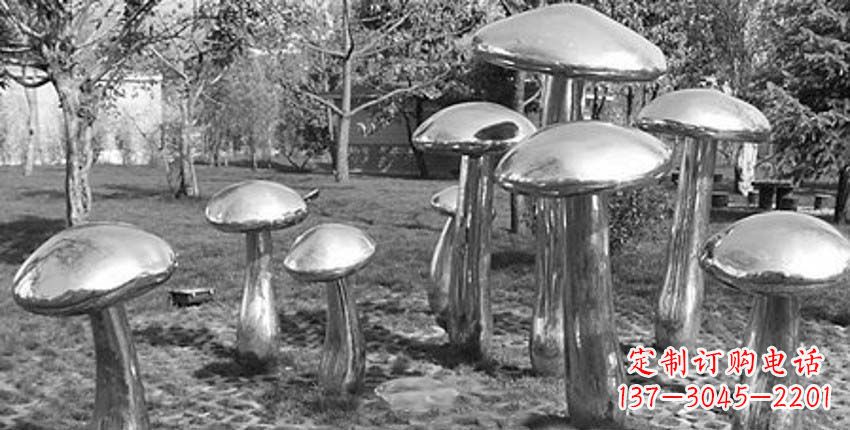 南阳公园不锈钢镜面蘑菇景观雕塑