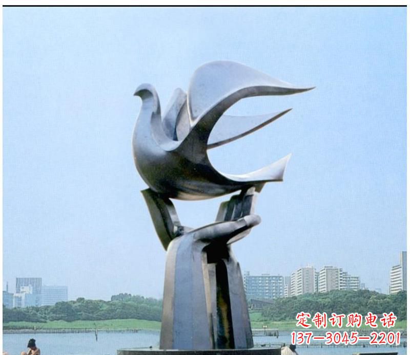 南阳静谧之鸽,传递和平象征~