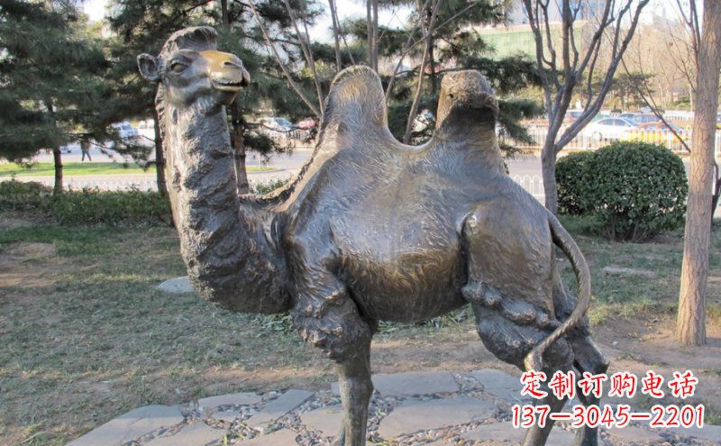 南阳铜骆驼雕塑——浓缩自然美丽