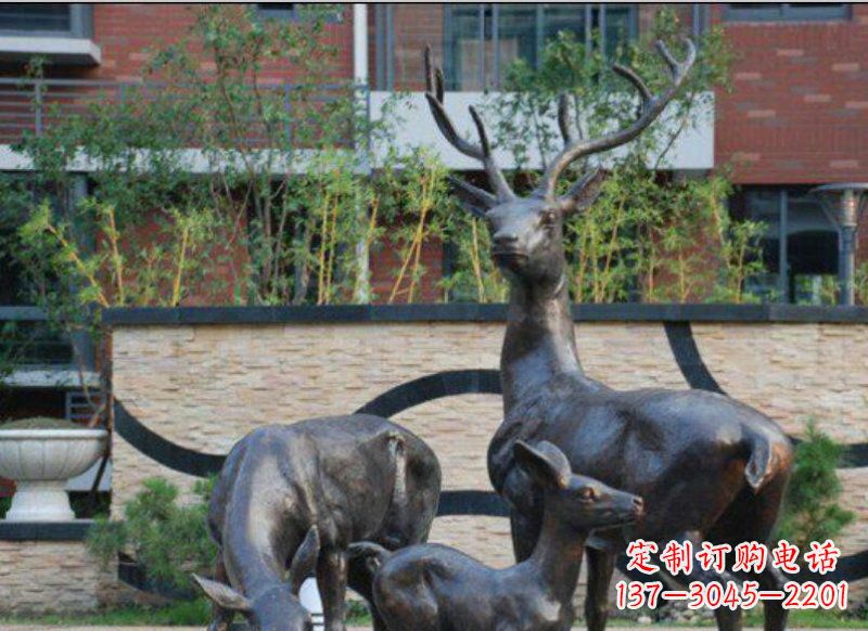 南阳公园梅花鹿动物铜雕