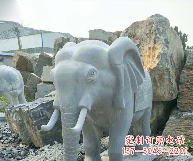 南阳广场景观大理石大象石雕 (2)