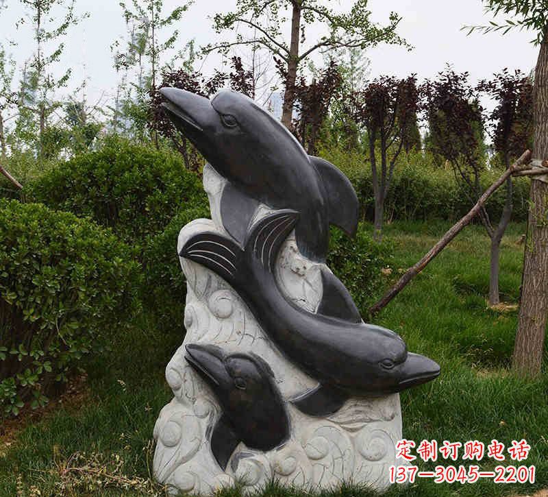 南阳特色海豚雕塑,带您体验最真实的海洋梦想
