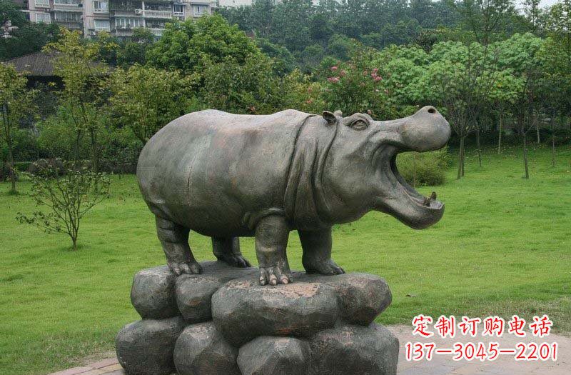 南阳海洋动物河马铜雕塑