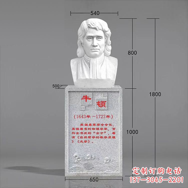南阳艺术精灵:牛顿汉白玉石头像雕塑