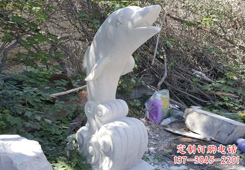 南阳海豚雕塑:悠闲无比的精灵