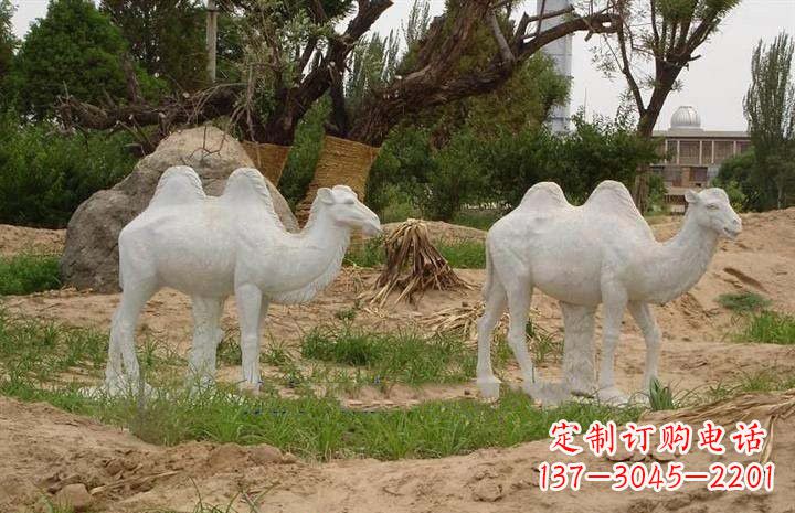 南阳欣赏大自然,石雕骆驼公园动物雕塑邀请您