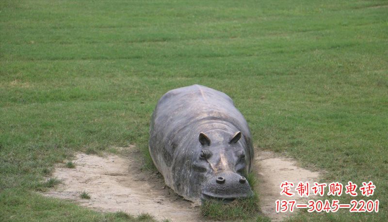 南阳铜雕趴着的河马