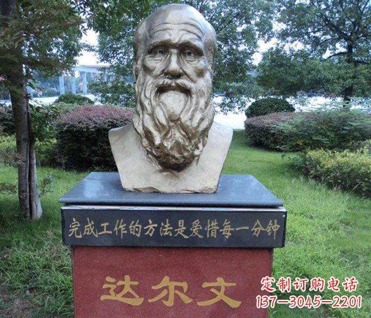 南阳铜雕校园达尔文肖像雕塑