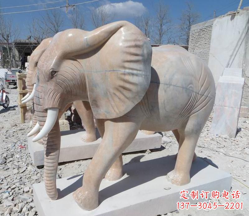 南阳晚霞红卷鼻大象
