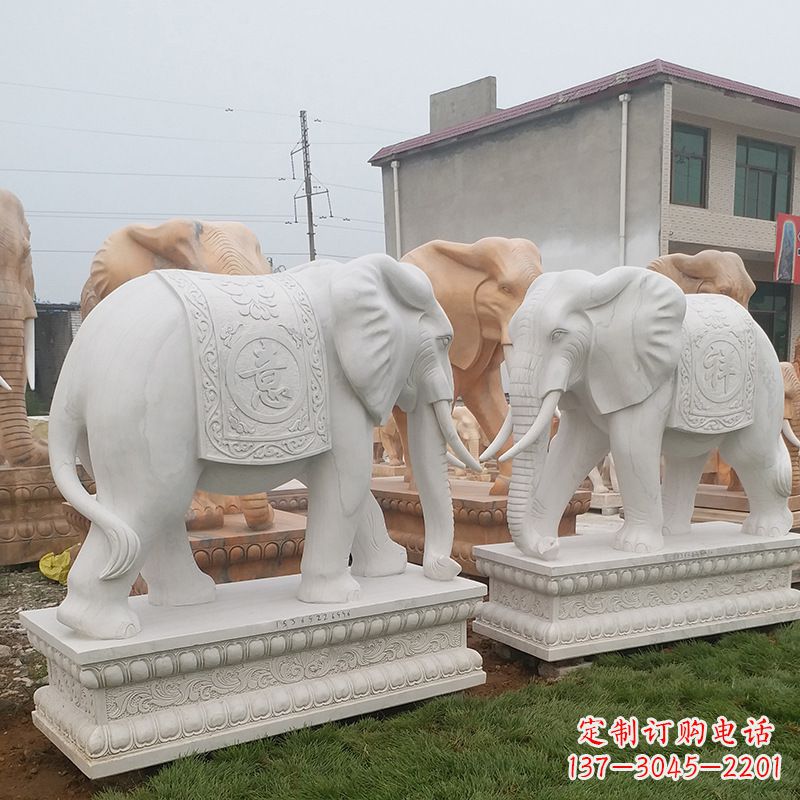 南阳学校石雕大象